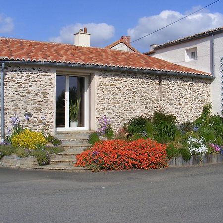 Chambres D'Hotes Vignes Et Loire Drain Eksteriør billede