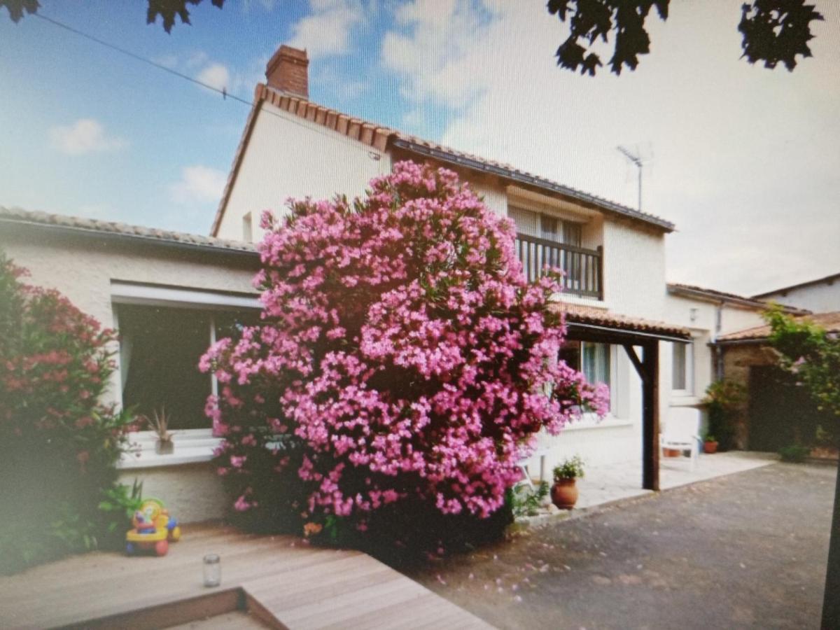 Chambres D'Hotes Vignes Et Loire Drain Eksteriør billede