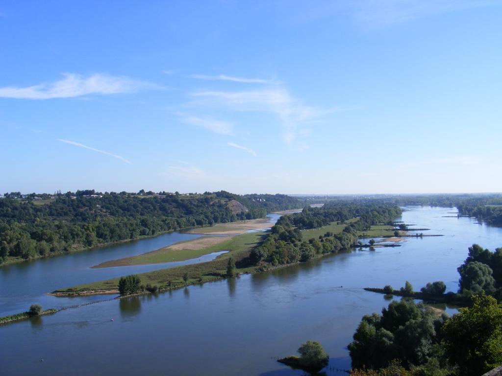 Chambres D'Hotes Vignes Et Loire Drain Eksteriør billede