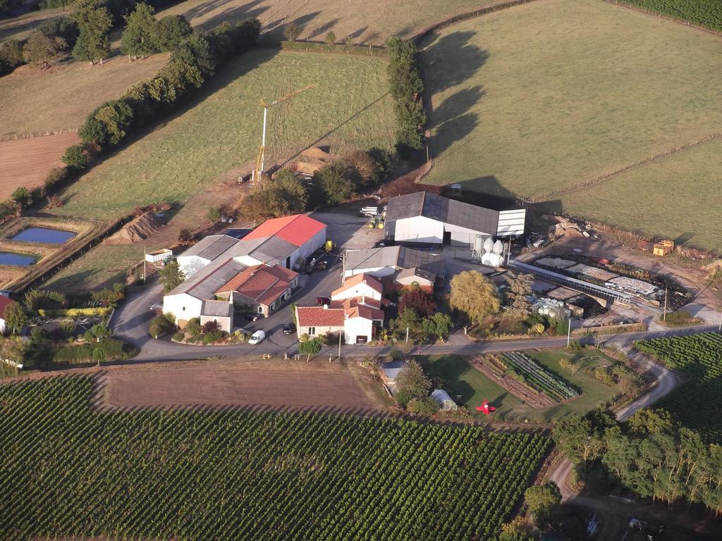 Chambres D'Hotes Vignes Et Loire Drain Eksteriør billede